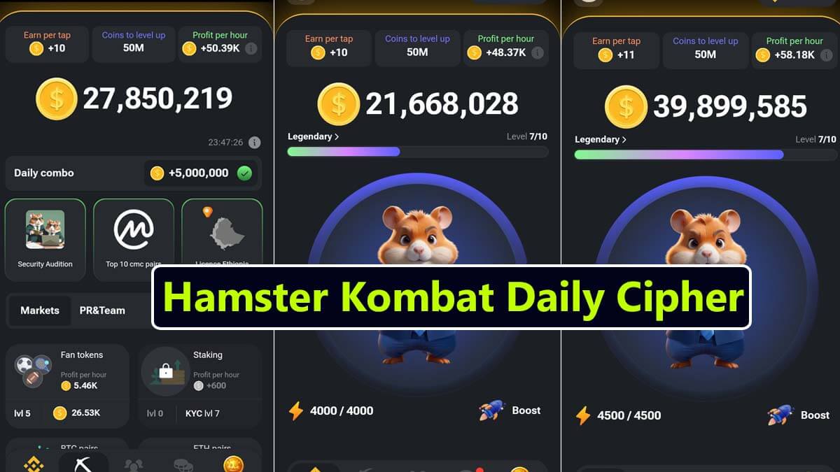 Hamster Kombat Daily Cipher