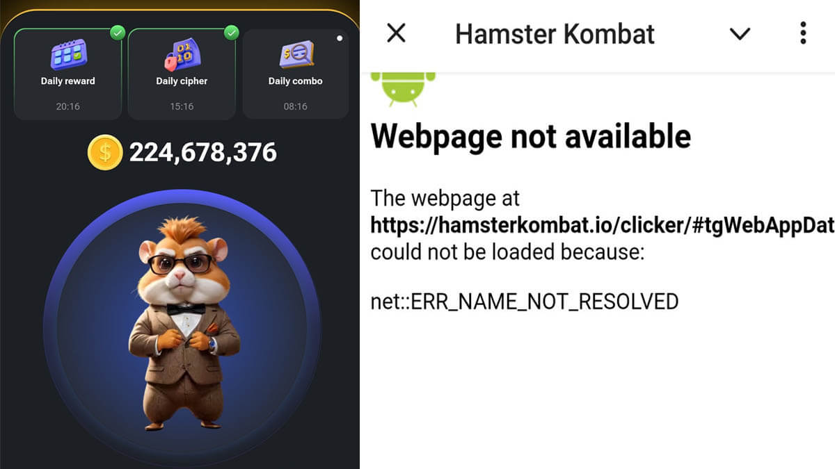 Hamster Kombat Down
